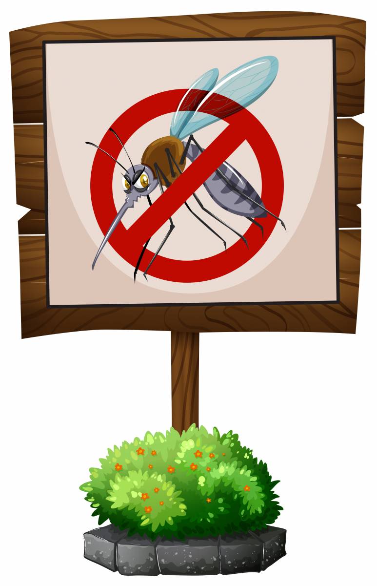 Avec l'arrivée des beaux jours, les insectes reviennent !